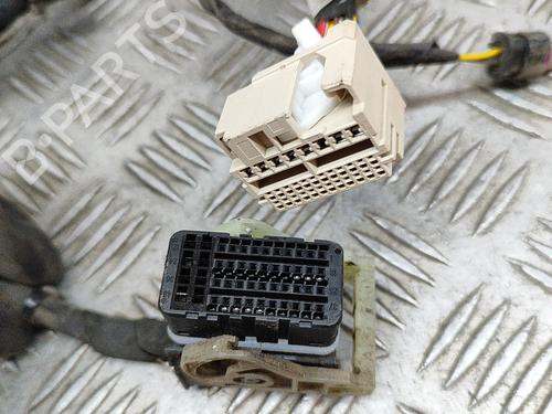 Wiring harness POLESTAR POLESTAR 2 (534) EV | BP28548758E16