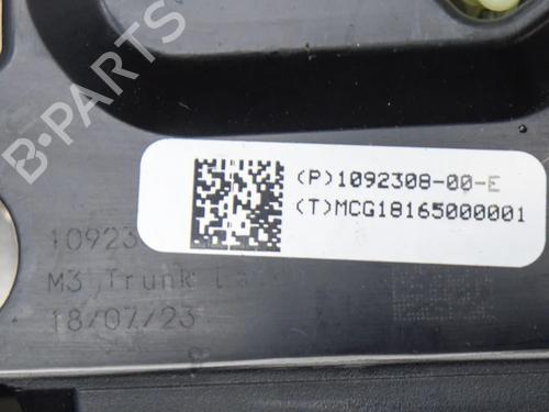 Bagklap lås TESLA MODEL 3 (5YJ3) EV AWD | BP27748866C101  - Image 5