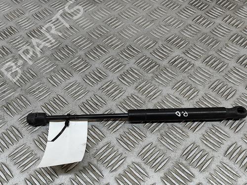Hood lift support LAND ROVER RANGE ROVER EVOQUE (L538) 2.2 D 4x4 | BP26142570C139 
