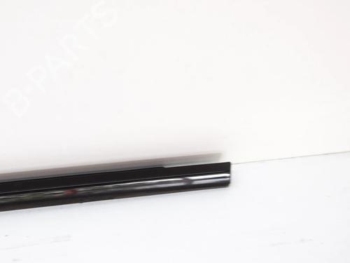 Door moulding trim BMW X3 (G01, F97, G08) xDrive 20 d | BP14615327C150