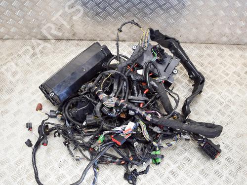 Used Wiring harness LAND ROVER RANGE ROVER SPORT II (L494) 3.0 SDV6 4x4 (306 hp) 27757044