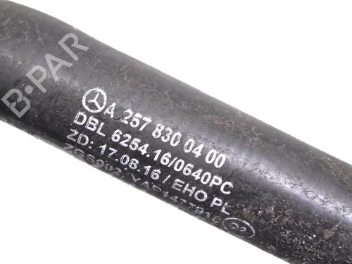 Pipe MERCEDES-BENZ CLS (C257) AMG CLS 53 EQ Boost 4-Matic+ (257.361) | BP30219784M125 