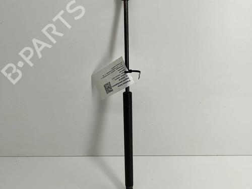 Hood lift support MASERATI QUATTROPORTE VI 3.0 D | BP24818464C139