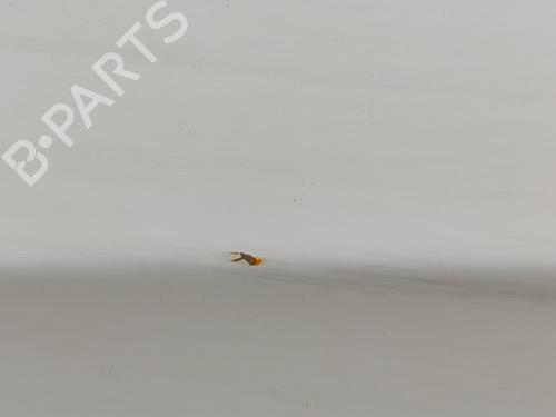 Left front door MERCEDES-BENZ VITO Van (W447) 111 CDI (447.601, 447.603, 447.605) | BP20676310C2 