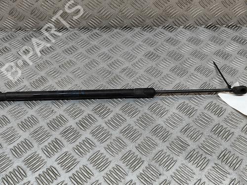 Used Tailgate lift support FIAT 500L (351_, 352_) 1.6 D Multijet (199LYD1B) (105 hp) 23247812
