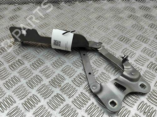 Hinge/Door check strap LAND ROVER RANGE ROVER SPORT II (L494) 4.4 SDV8 4x4 | BP29829614C146