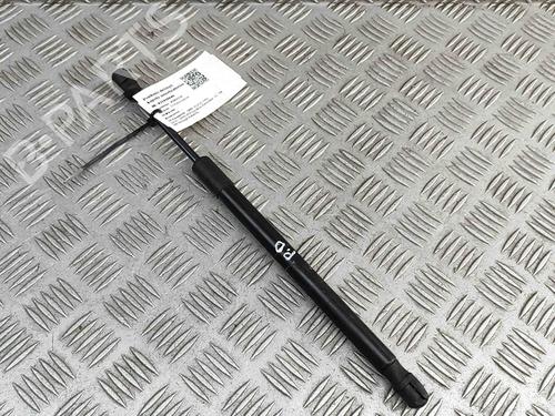 Hood lift support BMW X5 (F15, F85) xDrive 30 d | BP27799831C139