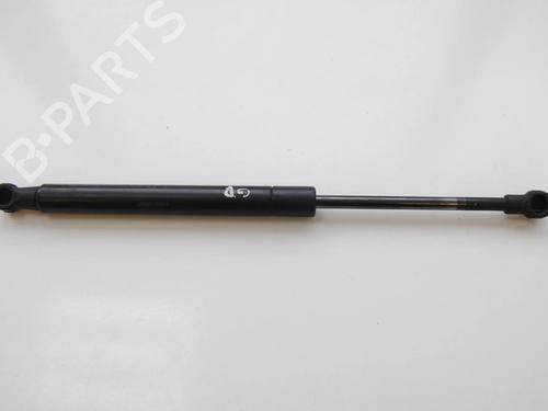 tailgate-lift-support-lexus-gs-_s19_-2005-2006-2007-2008-2009-2010-2011-2012-33357926 main image