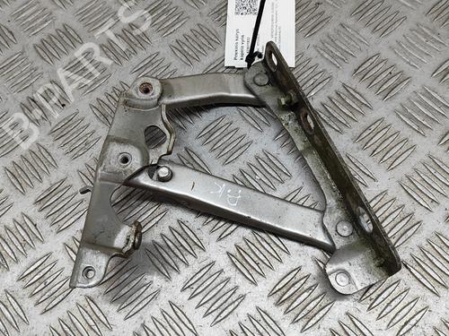 Hinge/Door check strap MERCEDES-BENZ S-CLASS (W220) S 320 (220.065, 220.165) | BP24580685C146 