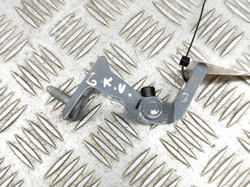 Used Hinge/Door check strap AUDI A4 B9 Avant (8W5, 8WD) RS4 TFSi quattro (450 hp) 27772300