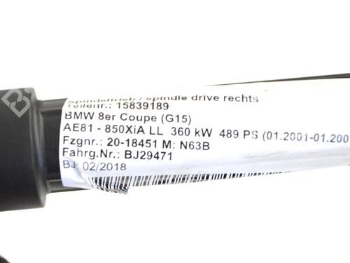 Tailgate lift support BMW 8 Coupe (G15, F92) M 850 i xDrive | BP30221363C138 