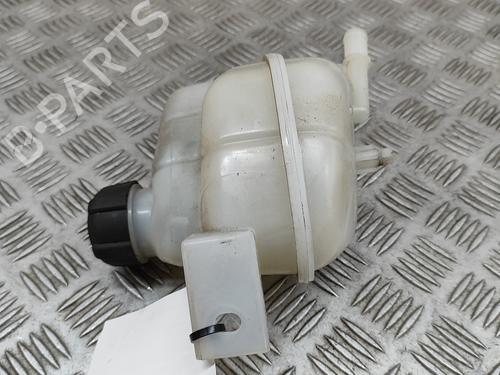 Expansion tank NISSAN QASHQAI II (J11, J11_) 1.2 DIG-T | BP22998828C120 