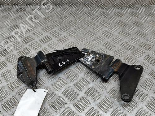 Hinge/Door check strap JEEP WRANGLER III (JK) 3.6 V6 | BP26012589C146 