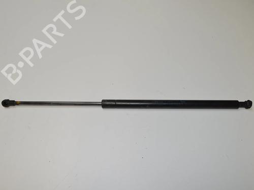 Gasfjeder motorhjelm LEXUS GS (_S19_) 300 (GRS190_, GRS190R) (249 hp) 30250725