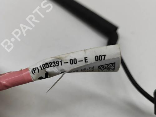 Wiring harness TESLA MODEL X (5YJX) 90D AWD | BP20675613E16 