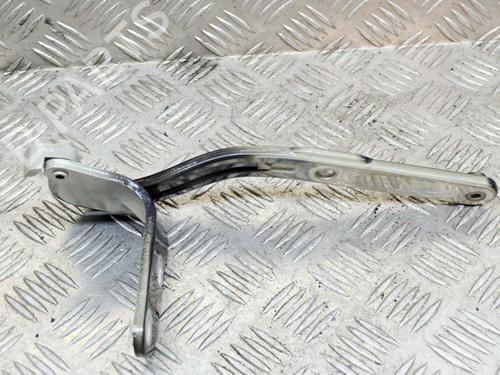 Hinge/Door check strap PORSCHE CAYMAN (987) S 3.4 | BP14632438C146 