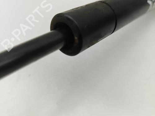 Hood lift support LAND ROVER RANGE ROVER EVOQUE (L538) 2.0 D 4x4 | BP28434345C139 