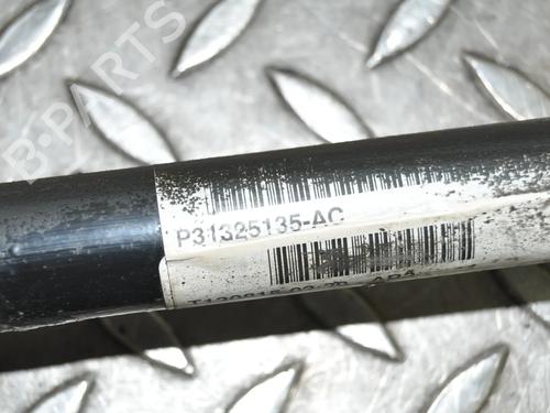  - Image 4