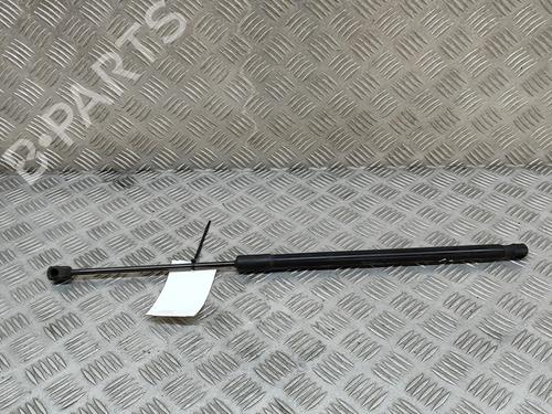 Tailgate lift support VW PASSAT B8 Variant (3G5, CB5) 2.0 TDI | BP26441737C138 
