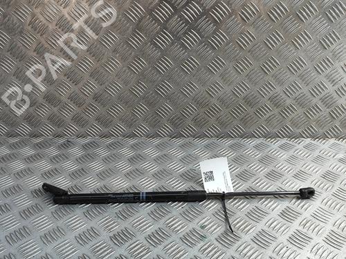 tailgate-lift-support-nissan-370z-coupe-z34-2009-28676654 main image