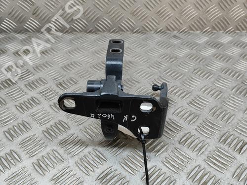 Hinge/Door check strap TESLA MODEL X (5YJX) 90D AWD | BP20675539C146 