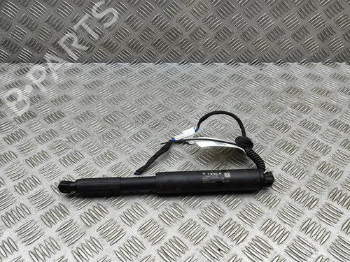 BP32269346C138 main image