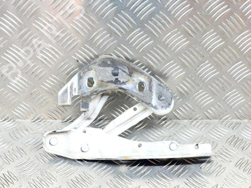 Hinge/Door check strap AUDI A1 (8X1, 8XK) 1.4 TFSI | BP14624192C146