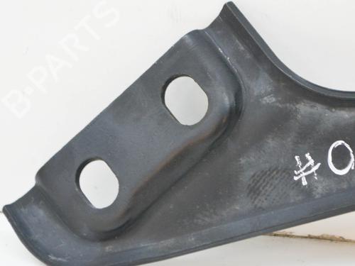 Hinge/Door check strap MERCEDES-BENZ VITO / MIXTO Van (W639) 120 CDI (639.601, 639.603, 639.605) | BP14625922C146 