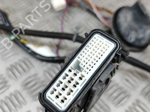 Wiring harness NISSAN 350Z Coupe (Z33) 3.5 | BP24141612E16 