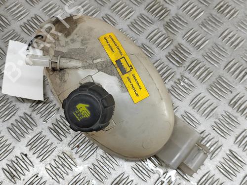 Expansion tank OPEL MOVANO B Van (X62) 2.3 CDTI FWD (FV) | BP27205727C120 