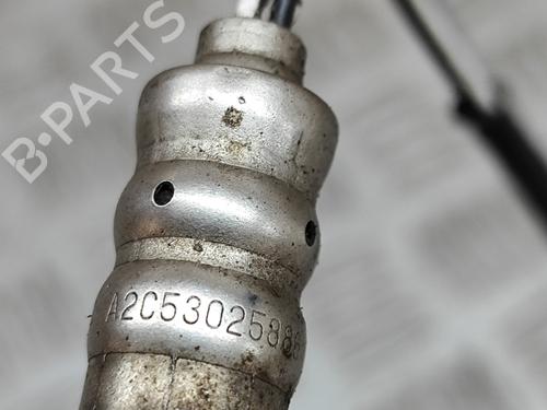 Other APRILIA MOTORCYCLES TUONO Tuono R (RR) | BP28555987O1