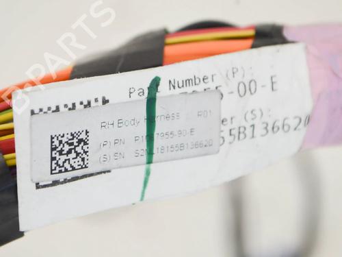 Wiring harness TESLA MODEL 3 (5YJ3) EV | BP27748066E16