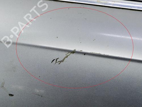 Left front door AUDI A6 C6 (4F2) 3.0 TDI quattro | BP30130448C2 