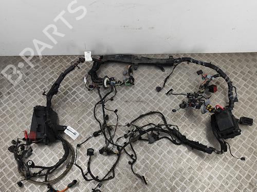 Wiring harness JAGUAR XF SPORTBRAKE (X260) 2.0 | BP20982039E16 