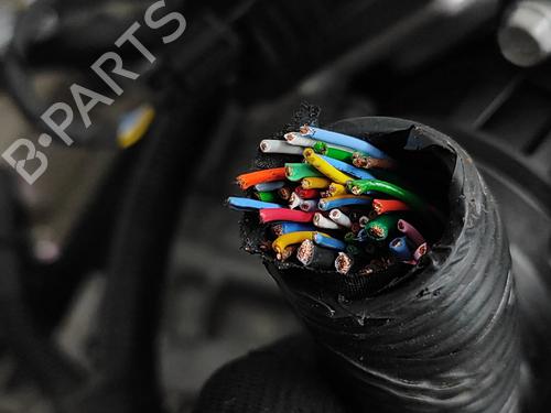 Engine KIA SPORTAGE V (NQ5) 1.6 T-GDI | BP28561906M1