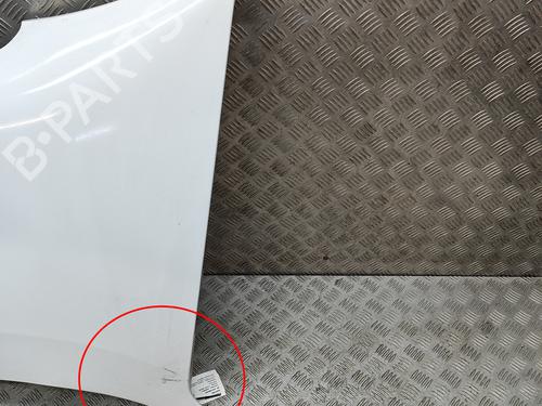 Left front fenders RENAULT MASTER III Van (FV) 2.3 dCi 145 FWD (FV0E, FV0F, FV0H, FV02, FV0M, FV0S,... | BP30082318C41 