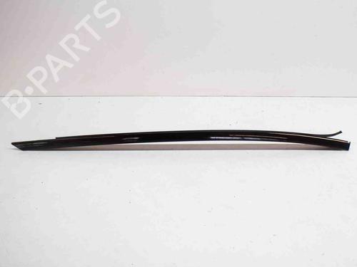 Dørliste BMW 5 (G30, F90) 530 d (265 hp) 14622689