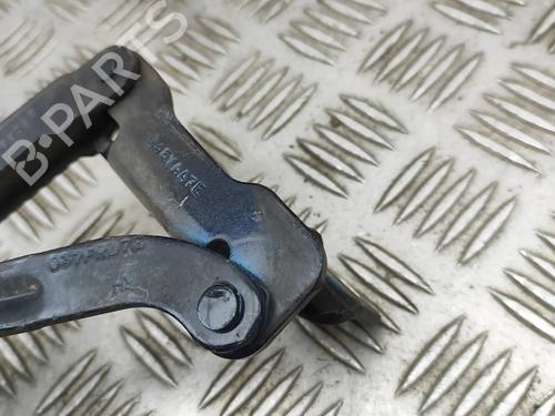 Hinge/Door check strap JAGUAR XJ (X350, X358) D 2.7 | BP31021257C146