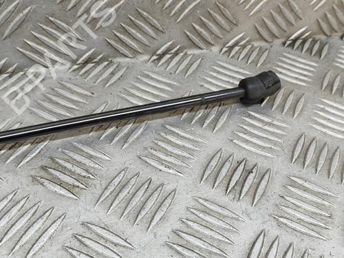 Hood lift support AUDI A3 Sportback (8VA, 8VF) RS3 quattro | BP24142389C139 