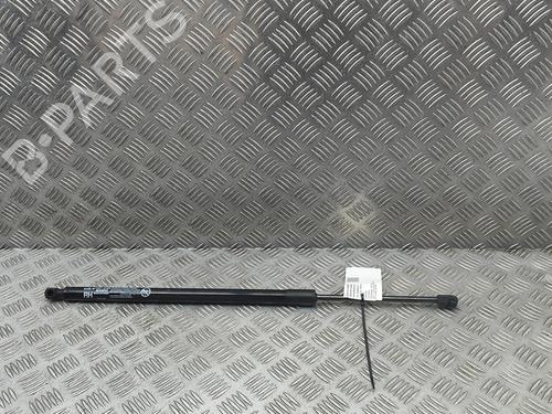 Used Tailgate lift support Tailgate lift support 38755720 38755720