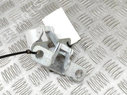 Hinge/Door check strap CITROËN C4 III (BA_, BB_, BC_) 1.2 PureTech 130 (BAHNSA, BAHNSB) | BP28557898C146