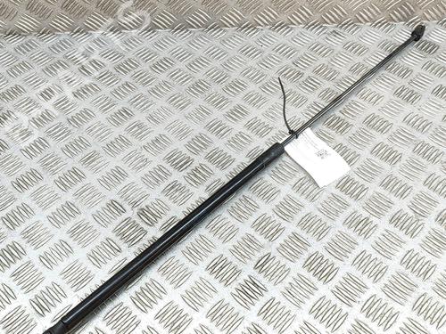 Hood lift support VW GOLF VII (5G1, BQ1, BE1, BE2) e-Golf | BP19126554C139 