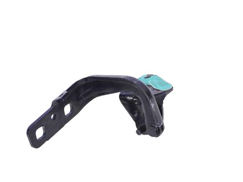 Hinge/Door check strap JAGUAR F-TYPE Coupe (X152) 3.0 SCV6 | BP30230334C146 