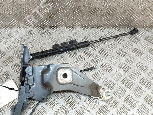 Hinge/Door check strap BMW X5 (E70) xDrive 40 d | BP19428018C146 