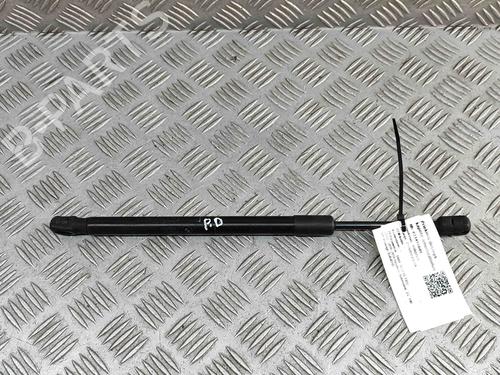 Hood lift support BMW X5 (F15, F85) xDrive 30 d | BP27799831C139