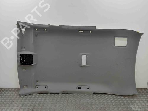 Tetto interno BMW X1 (F48) sDrive 18 d (150 hp) 29730755