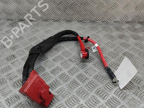 Cable BMW iX (I20) xDrive 50 | BP28556559E12 