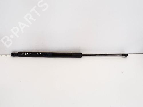 Used Tailgate lift support VW GOLF VII (5G1, BQ1, BE1, BE2) 1.6 TDI (105 hp) 14663270