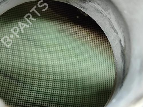 Catalyst FIAT TALENTO Van (296_) 1.6 D | BP33389003M10 - Image 11