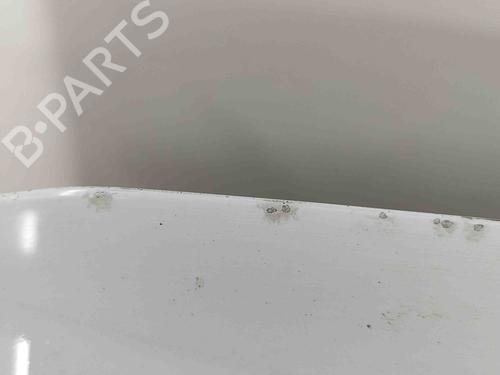 Hood PORSCHE PANAMERA (970) 3.0 D | BP29486038C1 